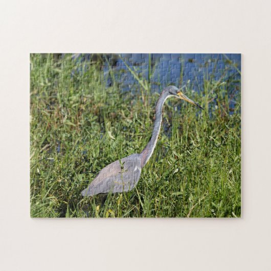 Tri Gekleurde Heron Legpuzzel (Horizontaal)