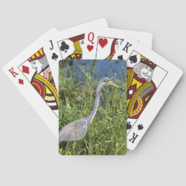 Tri Gekleurde Heron Pokerkaarten