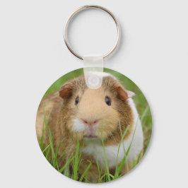 Tri kleur cavia sleutelhanger