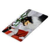 Tri Kleur Ruw Collie Met Kerstmis Magneet (Linkerzijde)