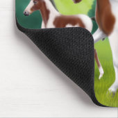 Tri Paint Mare en Foal Mousepad Muismat (Hoek)
