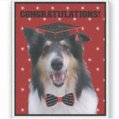 Tri Rough Collie Congratulations Graduate Sticker (Voorkant)