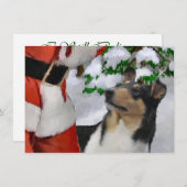 Tri Smooth Collie en Santa Christmas Kaart (Voorkant / Achterkant)