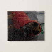 trial2 legpuzzel (Horizontaal)