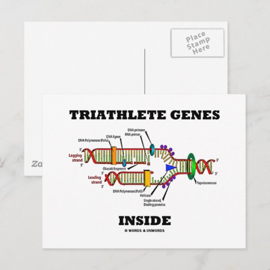 Triatleetgenen in (DNA-replicatie) Briefkaart (Voorkant / Achterkant)