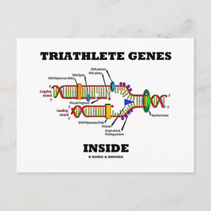 Triatleetgenen in (DNA-replicatie) Briefkaart