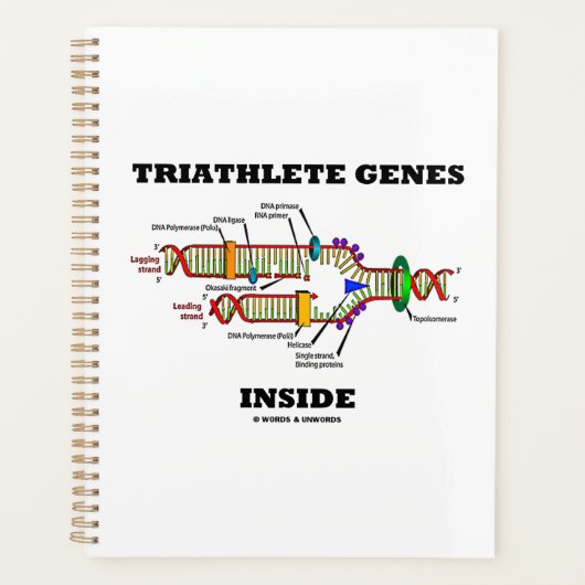 Triatleetgenen in DNA-replicatie Planner (Voorkant)