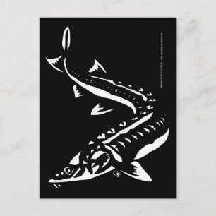 Tribal1 Briefkaart