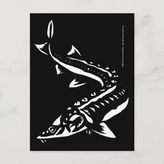 Tribal1 Briefkaart (Voorkant)