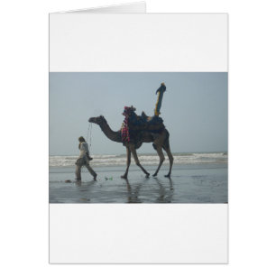 Tribal Camel Ride: Morning Tide Sands & Zee