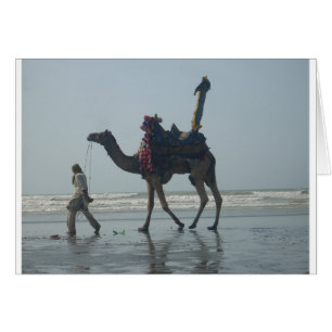 Tribal Camel Ride: Morning Tide Sands & Zee