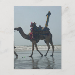 Tribal Camel Ride: Morning Tide Sands & Zee Briefkaart