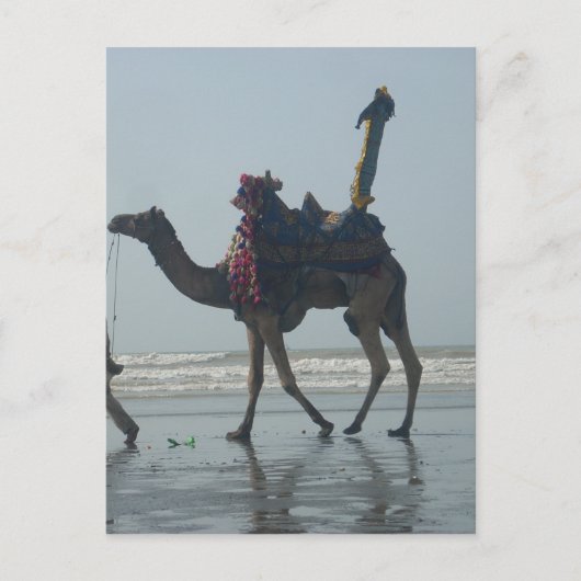 Tribal Camel Ride: Morning Tide Sands & Zee Briefkaart (Voorkant)