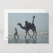 Tribal Camel Ride: Morning Tide Sands & Zee Briefkaart (Voorkant / Achterkant)