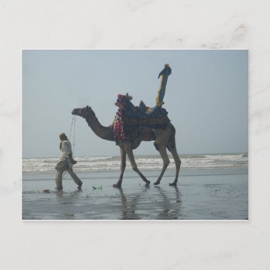 Tribal Camel Ride: Morning Tide Sands & Zee Briefkaart (Voorkant)