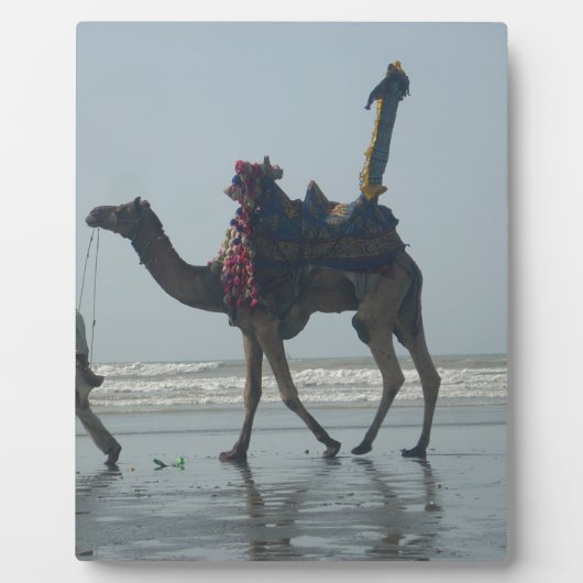 Tribal Camel Ride: Morning Tide Sands & Zee Fotoplaat (Voorkant)