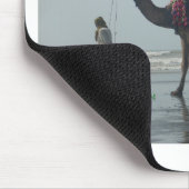 Tribal Camel Ride: Morning Tide Sands & Zee Muismat (Hoek)