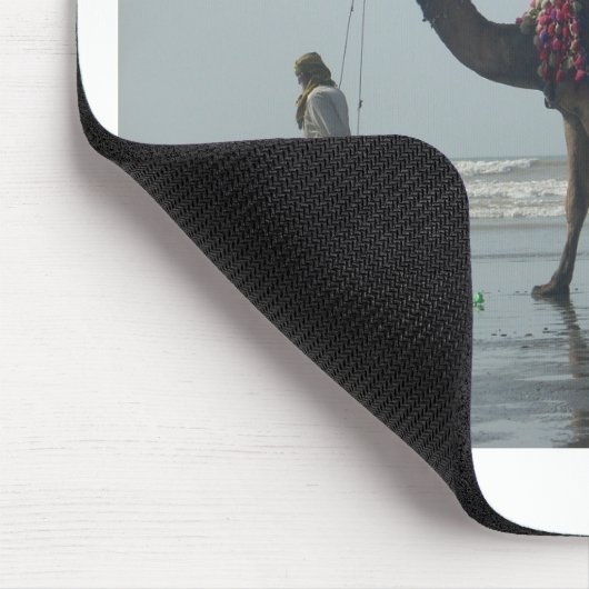 Tribal Camel Ride: Morning Tide Sands & Zee Muismat (Hoek)