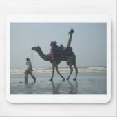 Tribal Camel Ride: Morning Tide Sands & Zee Muismat (Voorkant)