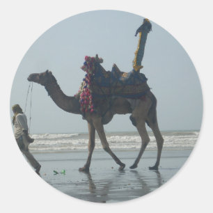 Tribal Camel Ride: Morning Tide Sands & Zee Ronde Sticker