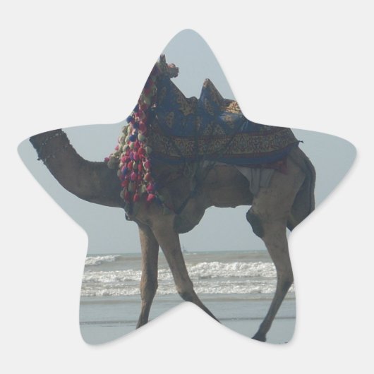 Tribal Camel Ride: Morning Tide Sands & Zee Ster Sticker (Voorkant)