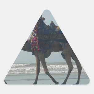 Tribal Camel Ride: Morning Tide Sands & Zee Sticker