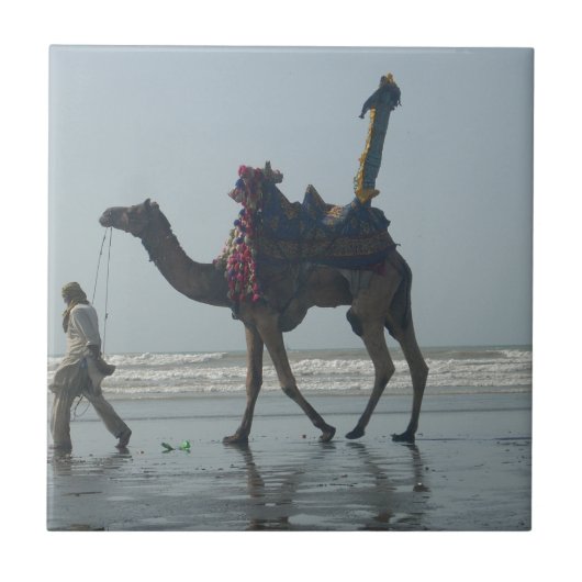 Tribal Camel Ride: Morning Tide Sands & Zee Tegeltje (Voorkant)