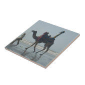 Tribal Camel Ride: Morning Tide Sands & Zee Tegeltje (Zijkant)