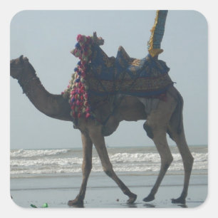 Tribal Camel Ride: Morning Tide Sands & Zee Vierkante Sticker