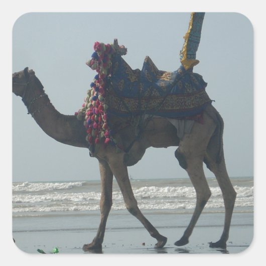 Tribal Camel Ride: Morning Tide Sands & Zee Vierkante Sticker (Voorkant)