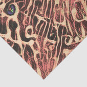 Tribal Cute Tabby Cat Pink Brown Hippie Mosaic Art Tissuepapier (Detail)