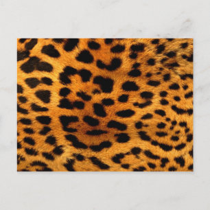 Tribal Fashionista Safari Dier Luipaard Print Briefkaart