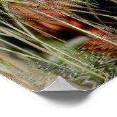 Tribal Medicine Poster (Hoek)