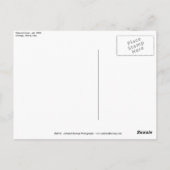 Tribune Tower 01 Briefkaart (Achterkant)