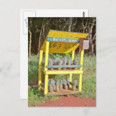 Tribune van de Ananas van Maui de Zoete Briefkaart (Voorkant / Achterkant)