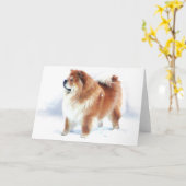 TRIBUNES CHLOE IN DE KAART VAN DE SNEEUW (Gele Bloem)