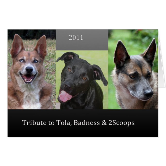 Tribute (Voorkant Horizontaal)