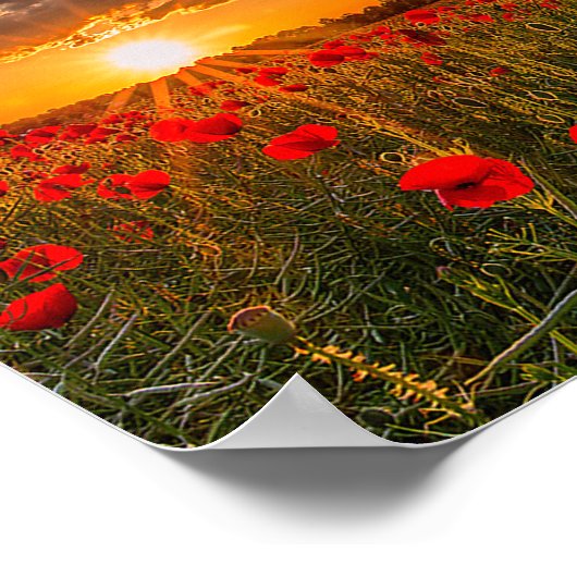 Tribute Spitfire Poster (Hoek)