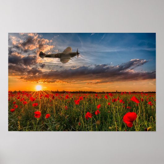 Tribute Spitfire Poster (Voorkant)