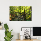 Tributional Quabbin Reservoir Poster (Thuiskantoor)