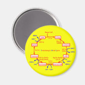 tricarbonzuurcyclus magneet (Voorkant / Achterkant)