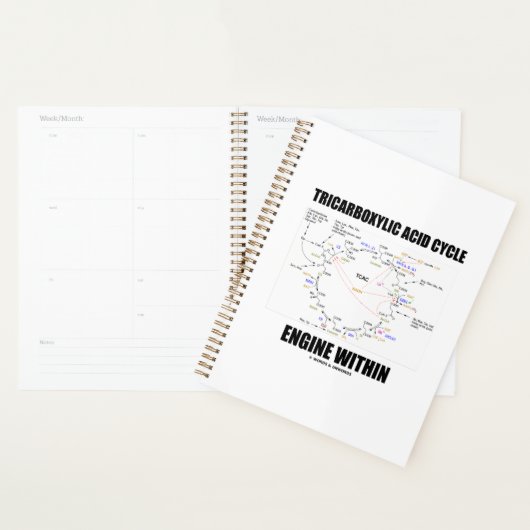 Tricarbonzuurcyclus motor binnen Krebs cyclus Planner (Display)