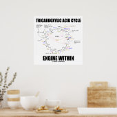 Tricarbonzuurcyclus motor binnen Krebs cyclus Poster (Keuken)