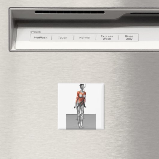 Triceps Push Downs Magneet (Insitu (Vaatwasser))