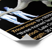 Triceratops - Biology Jurassic Poster (Hoek)