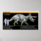 Triceratops - Biology Jurassic Poster (Voorkant)