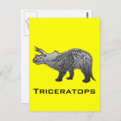 Triceratops Briefkaart (Voorkant / Achterkant)
