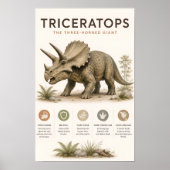 Triceratops de driehoornige dinosaurus educatief poster (Voorkant)