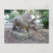 Triceratops Dinosaur Briefkaart (Voorkant)