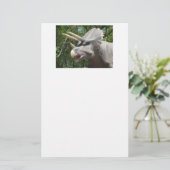 Triceratops Dinosaur Briefpapier (Staand voorkant)